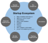 Characteristics and Benefits of The Startup Ecosystem