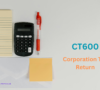 Navigating the Tax Maze: Unraveling the CT600 Corporation Tax Return